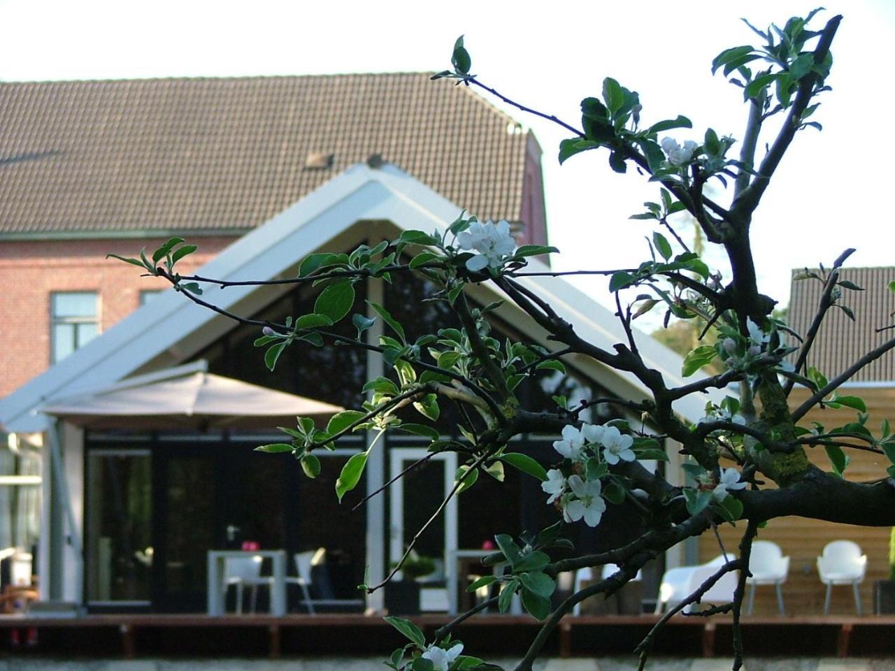 Bed and Breakfast Rosa Arvensis Lottum Exterior foto