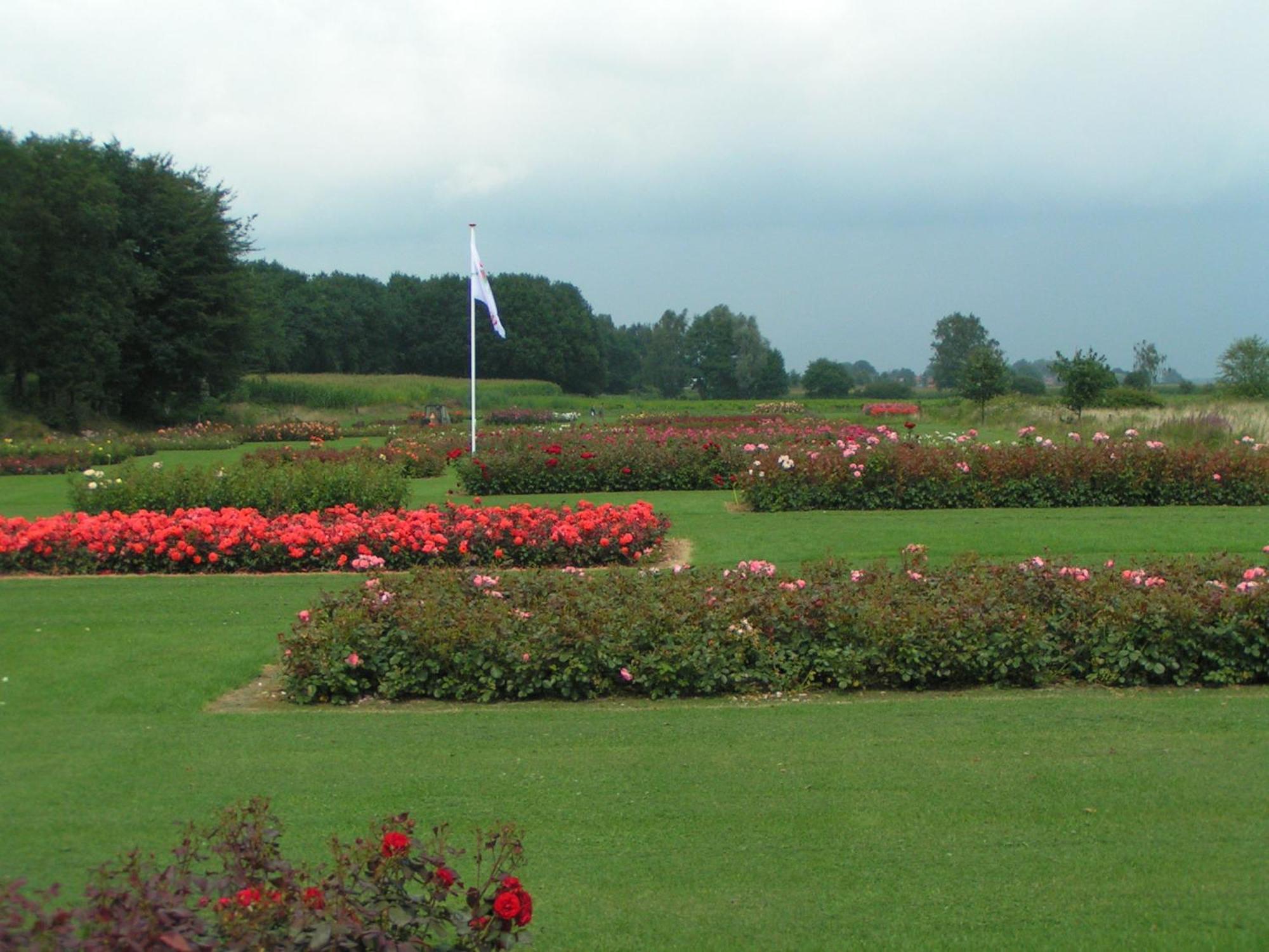Bed and Breakfast Rosa Arvensis Lottum Exterior foto